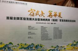 武夷山记：茗宿、茶道与民宿的未来思索