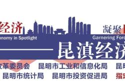 民宿或可“免申即享”获政策奖励：《昆明市民宿发展管理暂行办法（试行）》公开征求意见
