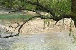 吴国平谈旅游：这是一个最好的时代，也是一个最坏的时代