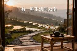 2025云南民宿大会值得参加吗？“金茶花奖”和“百强榜”为何成为行业风向标？