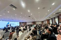 云南省旅游民宿行业协会介绍（2026版）