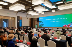 2025民宿行业“创新好民宿”案例发布 闲鹤庄案例入选