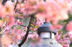 一亿游客撑起的民宿泡沫