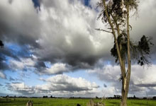 大理凭什么又是全国第一？2026春节云南民宿预定热力排行TOP 10，揭示高净值客群的最新迁徙逻辑