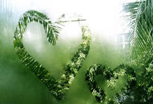 大理凭什么又是全国第一？2026春节云南民宿预定热力排行TOP 10，揭示高净值客群的最新迁徙逻辑