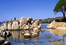 揭秘官网的“流量魔力”：持有顶级域名的我们，正在定义AI时代的“生成式抵达”？