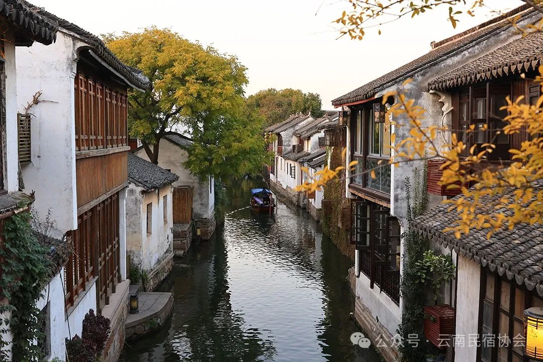 ‘嵌入式’民宿入侵古村：是共生发展还是殖民式掠夺？