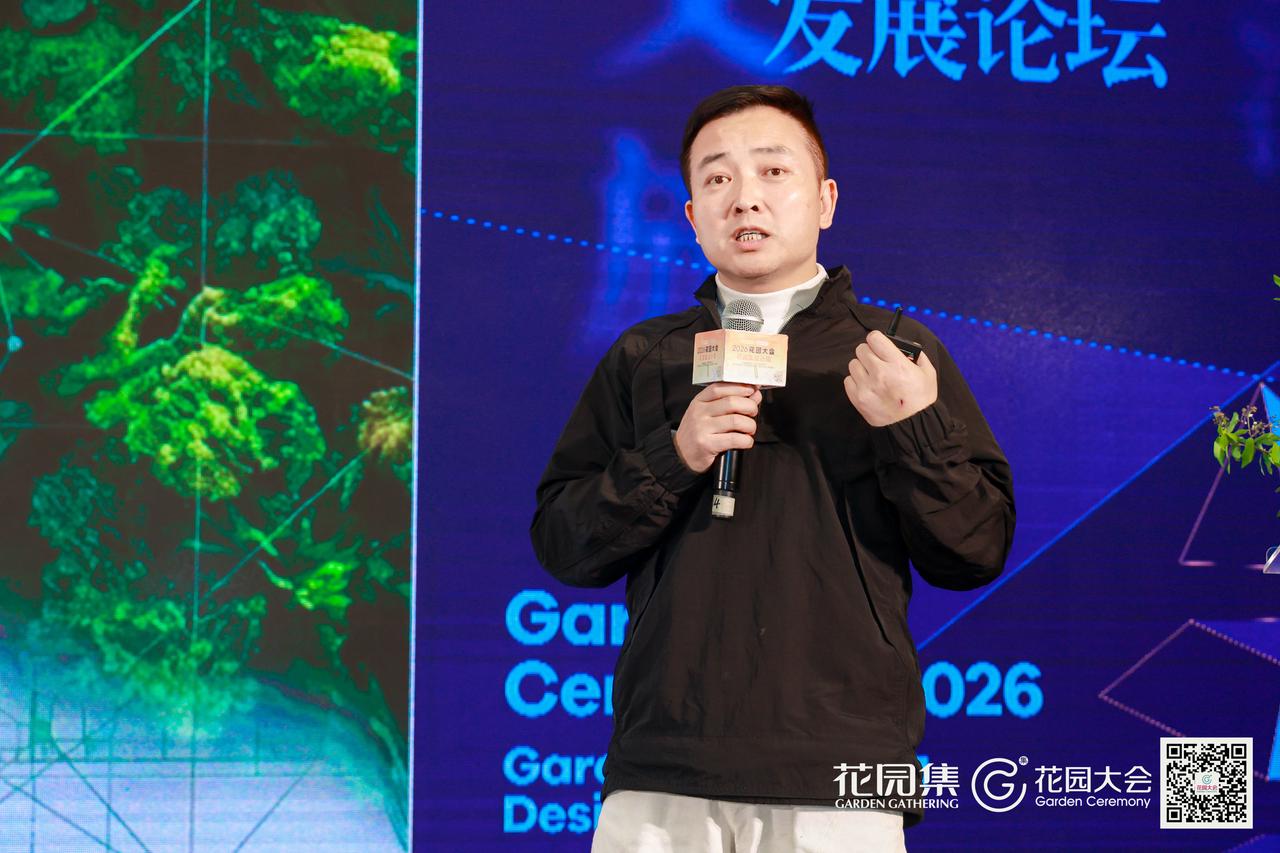 飞书文档 - 图片