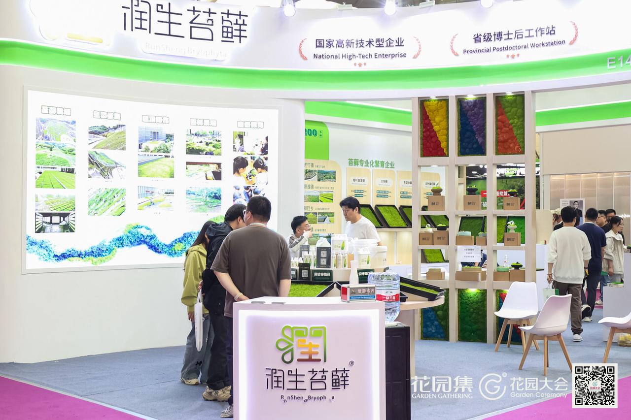 飞书文档 - 图片